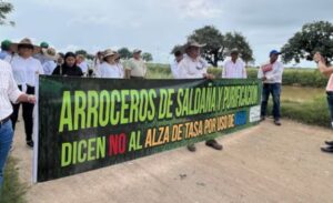 Arroceros-siguen-protestas