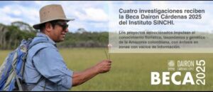 Becas pra investigación
