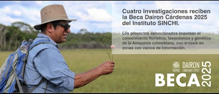 Becas pra investigación