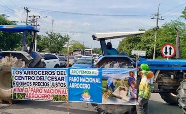 Paro arrocero