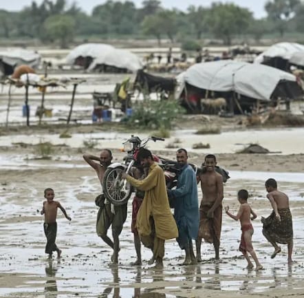 Desastre humanitario en Pakistán por torrenciales lluvias