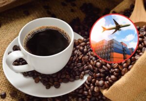 Café de exportación