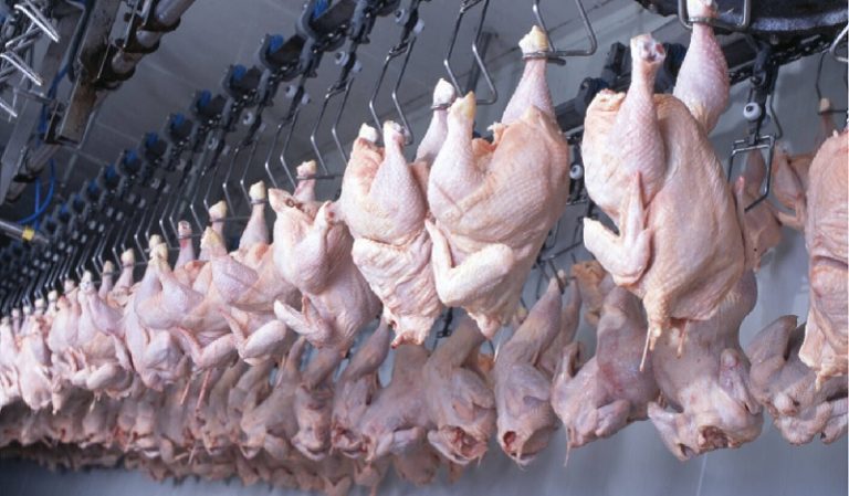 Primera exportación de pollo a Japón