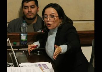 Pedraza: nadie votó por Benedetti como copresidente