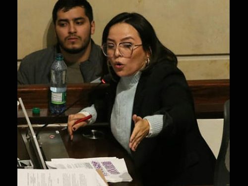 Pedraza: nadie votó por Benedetti como copresidente